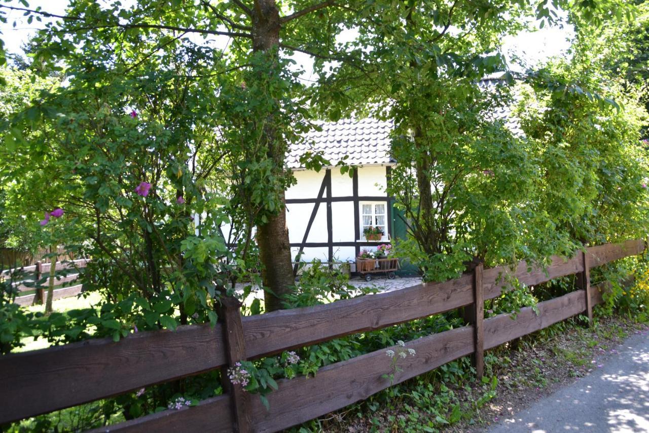 Eifelhaus Paula Villa Monschau Bagian luar foto